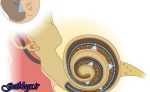 استفاده از نور جهت جنبش اعصاب شنوایی